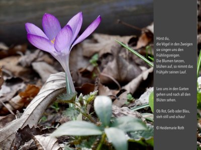 Bilder