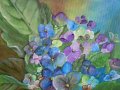 Hortensien in anderer Farbe