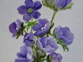 Anemonen 